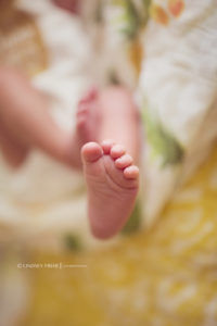 Gulf Breeze, Florida Newborn Photographer