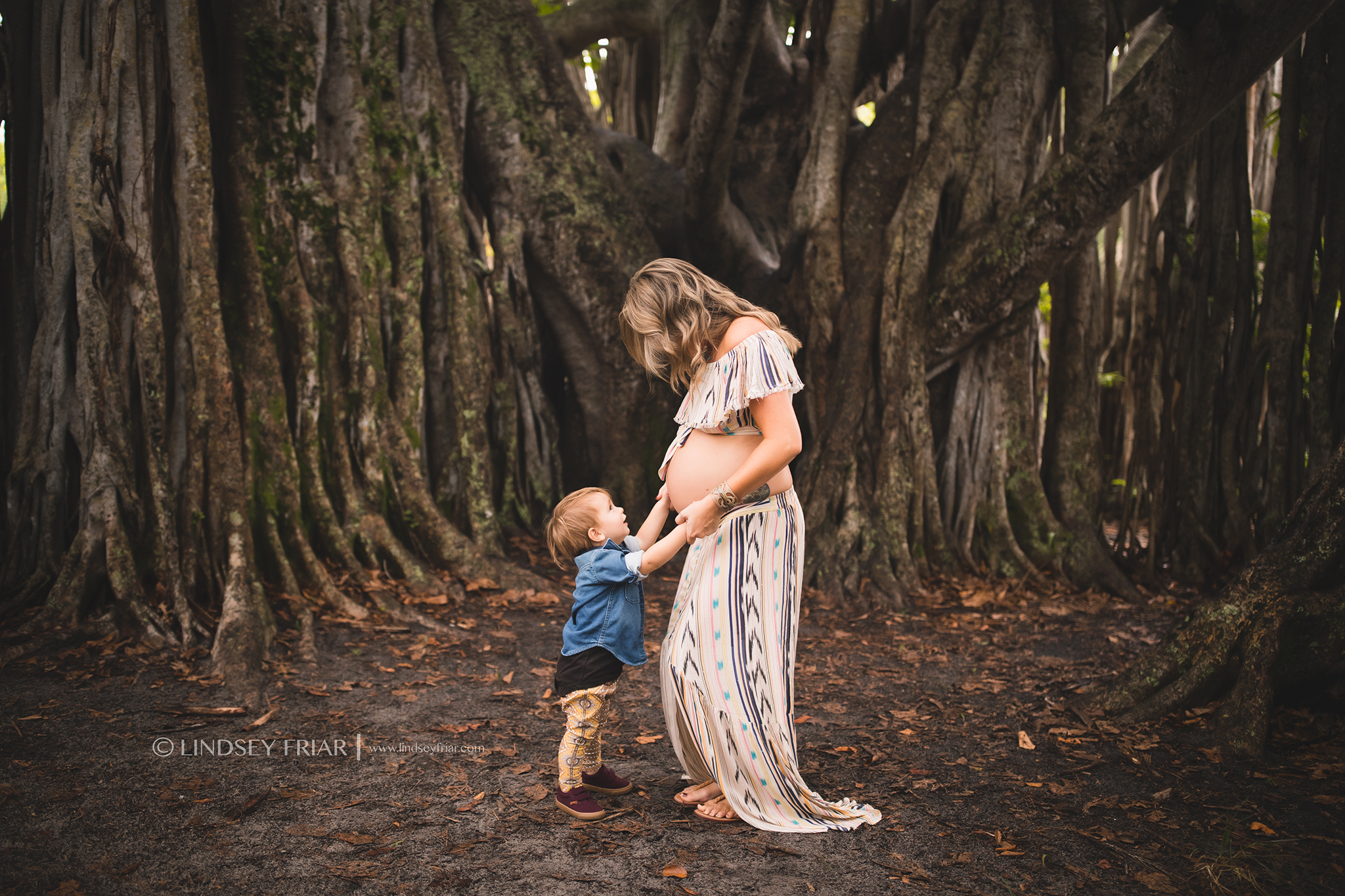 Maternity Photographer - Fort Lauderdale