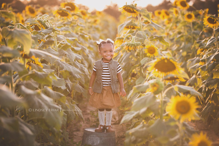 Sunflower Mini Session - Milton, FL Family Photographer